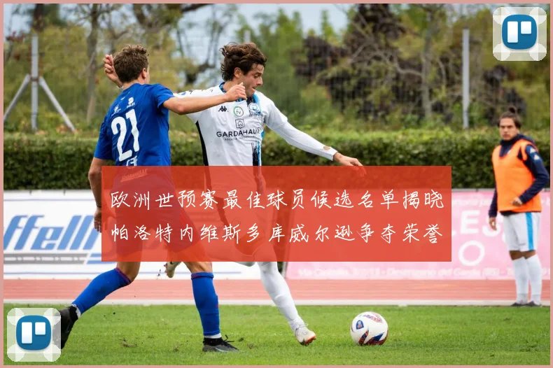 欧洲世预赛最佳球员候选名单揭晓帕洛特内维斯多库威尔逊争夺荣誉