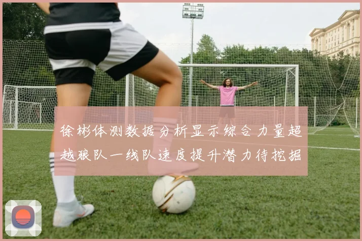徐彬体测数据分析显示综合力量超越狼队一线队速度提升潜力待挖掘